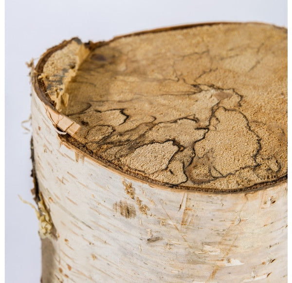 Birch Log Set of 5 by Gold Leaf Design Group | Fireplace Accessories | Modishstore-2