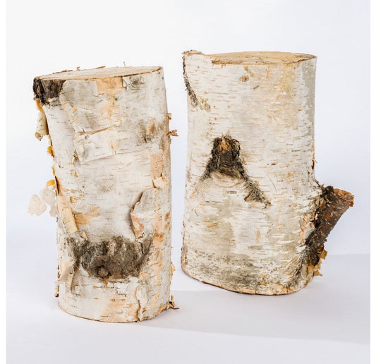 Birch Log Set of 5 by Gold Leaf Design Group | Fireplace Accessories | Modishstore