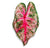 Mosaic Begonia Escargot Wall Art, 26