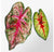 Mosaic Caladium Green Wall Art, 24