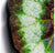 Mosaic Begonia Escargot Wall Art, 26
