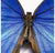 Mosaic Butterfly Blue Morpho Wall Art, 30