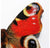 Mosaic Butterfly Aglais Wall Art, 20