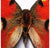 Mosaic Butterfly Aglais Wall Art, 20