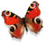 Mosaic Butterfly Aglais Wall Art, 20