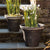 Wakefield Handmade Dunbarton Pots, #20 & #12 By Napa Home & Garden