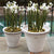 Wakefield Handmade Dunbarton Pots, #20 & #12 By Napa Home & Garden