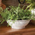 Wakefield Handmade Manchette Low Bowl #12 By Napa Home & Garden