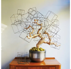 Gold Leaf Design Group Wire Cubes - Set Of 12