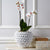 Tozai Home Pompon Vase/Planter